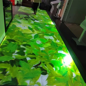 Hot Sale Factory Direct Dance Interactive Floor Projection for 100% Safety