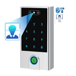 Waterproof Outdoor Use Tt Lock Face Recognition Access Control Keyless Bluetooth WIFI Remote Fingerprint Rfid Access Control