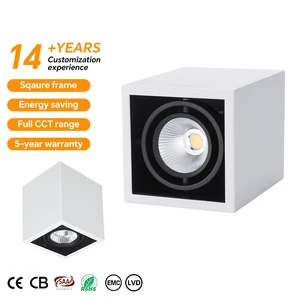 Modern Design Aluminum Hotel Housing LED Spotlight High Quality Indoor Recessed 5W 7W 9W 10W 12W Adjustable Beam Angle
