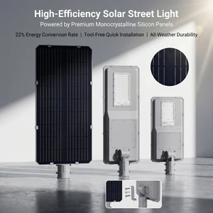 30W 40W 50W 60W 80W 100W 120W Commercial Grade Clear 3-5 Rainy Days Backup Solar Security Light for Mining Site