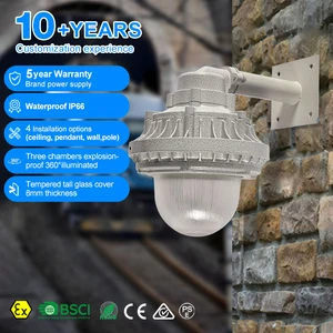 High Quality ATEX Led Explosion Proof Lighting Professional Explosion Proof Lamps 30w 50w 80w 120w Explosion-Proof Lights