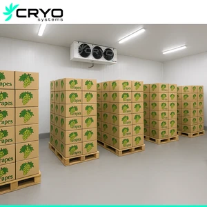Temperature Sensitive Items Controlled Atmosphere Storage Cold Rooms CA Storage For Apple Fruit