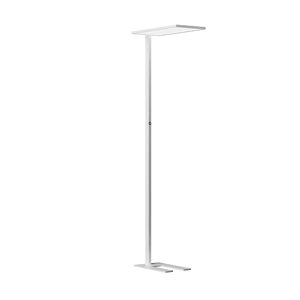 LED Free Standing Office Work Read up and Down Lighting Floor Light Dimming Floor Lamp