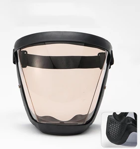 Face Mask Full Protection PC HD Anti Fog Windproof Waterproof Dust Droplet Oil Fume Welding Mask for Cycling Sports