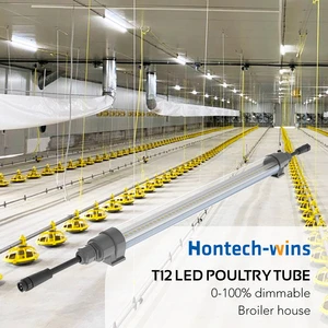 Hontech Wins Poultry Farm Light Led Dimmable for Chicken Coop Led Poultry Chicken Farm Led Tube