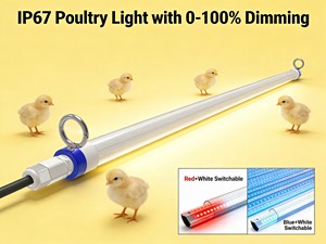 LED Poultry Equipment Light, T8 Tube, IP67 Waterproof, Flicker-Free, Red+White Switchable, Chicken Coop Light