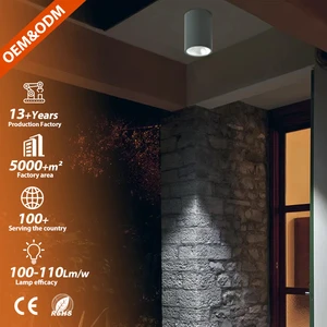 Modern Lighting and Circuitry Design IP65 Waterproof Aluminum Garden Villa Home Hotel Outdoor LED Downlight