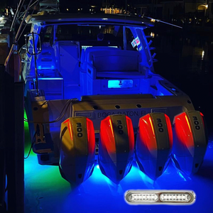 Waterproof IP68 60Watt Underwater Boat Light 12V for Boat Yacht Dock