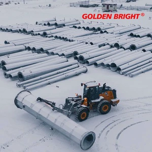 Golden Bright Factory Direct Explosion Proof Lighting Pole Outdoor Steel Pole for Hazardous Area Lighting