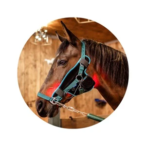 LED Light Horse Bonnet Therapy 660nm Red Light Therapy 850nm Infrared Light For Horse Health