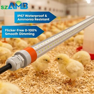 Light Tube LED Full Spectrum CRI80 5-Year Warranty Poultry Light Flicker-Free IP67 Waterproof Ammonia Resistant Chicken Lights
