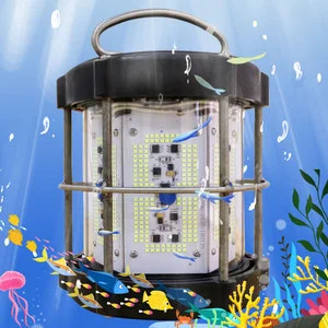 Green Led Fishing Light 1000w Use It in Fishing Farms Green White Bait Fishing Light Squid Fish Lamp