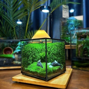 Wholesale 3W,5W,7W,9W 360 Degree Full Spectrum LED Light,Bamboo or Acrylic Base,USB Powered With Timing Device,Height Adjustable