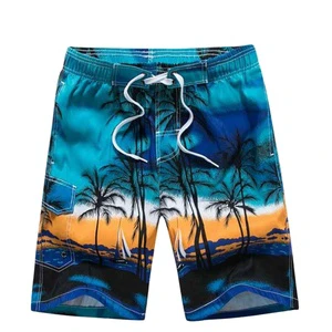Men Tropical Beach Print Swim Shorts Quick Dry Palm Tree Board Sublimation Shorts Summer Vacation Swim Trunks
