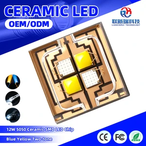 High Power 5050 Ceramic Blue Yellow Dual Color Led Chip For Fishing Light With Vertical Chip Technology