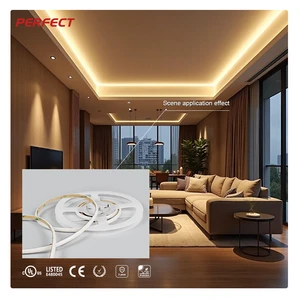 PERFECT 320LEDs/M High CRI≥90 SOB LED Strip DC24V 2700K-6000K No Light Dot Flexible Tape For Indoor Home Ceiling Decor