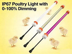 T8 Tube Poultry Farm Light, 3ft-5ft, Flicker-Free, LED Chicken Light, 0-100% Dimming, IP67, 2700K-6500K