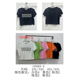 Women's Oversized Casual T-Shirt with Amour Design in Summer Colors Plus Sizes From 2XL to 5XL