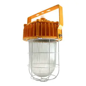 IP67 24V/220V Explosion-proof Tubular Work LED Industry Outdoor Water-proof Floodlight Explosion Proof Light for CNC Machine