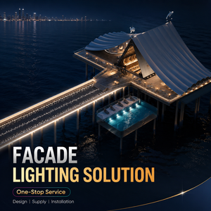 Original Professional Bridge Flood Lights Design Customized for Outdoor One-stop Highway Bright Facade Lighting Solution