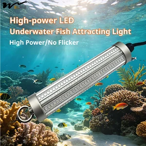 12V 100W High Power Underwater Lure Fishing Light Underwater Strong Lamp Ice Fishing Lamp Fishing Collection Light
