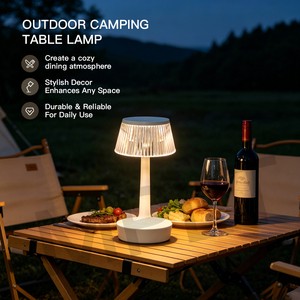 Multi-Scene Rechargeable Ambient Light Cordless Acrylic Mushroom Lamp For Camping, Restaurant Bedside Table
