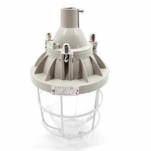 XLMBCD250 explosion-proof lights for hazardous areas in Zone 1 and 2 with energy saving bulbIP54WFI G3/4