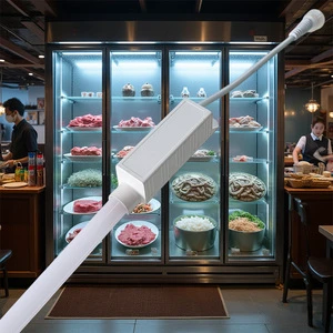 Cold Storage Room Led Light Ip67 Low Temperature Resistant Applicable to Convenience Store Refrigerated Ice Cream Freezer