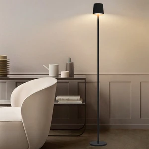 Modern Minimalist Creative Beside Touch Cordless Rechargeable Standing Light Living Room Floor Lamp