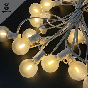 LED G40 Frosted Bulb String Lights Decorative Fairy Garden Christmas Landscape Lighting