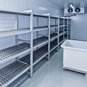 Customizable Energy-Efficient LED Lighting Walk-In Cooler Supermarket Restaurant Cold Room Freezer Storage 380V Engine Core
