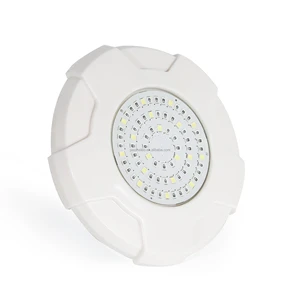 Premium LED Pool Light Plastic Resin IP68 Protection 6000K Daylight Remote Control Dimmable CRI80 Stable DC12V Power Supply