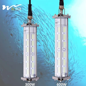 12V 24V 300W 600W Dimmable Fishing Light Lamp for Deep Sea Water Squid Swallow Eel Lure Catching for Sea Fishing