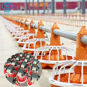 Automatic Poultry Breeding Equipment Broiler Feeder Drinker Feeding Chicken House Feeding Drinking Line 10000 20000 Chickens