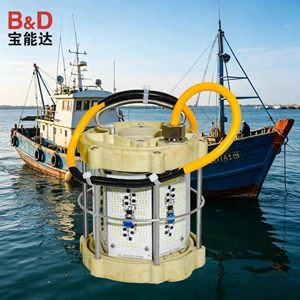 B&D Factory 1000W IP68 Led Bait Lamp Squid Fishing Luring Lamp Under Water Deep Underwater Fishing Light for Fishing