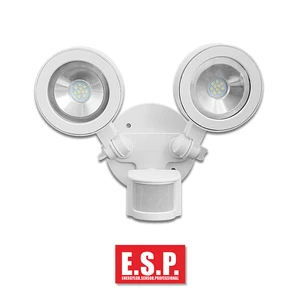 Security LED Light