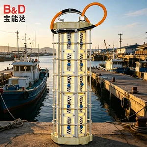B&D Factory 4800W IP68 Led Bait Lamp Squid Fishing Luring Lamp Under Water Deep Underwater Fishing Light for Fishing