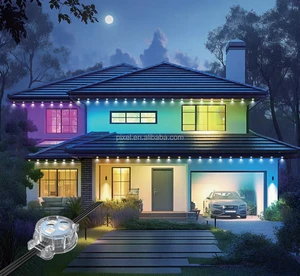 DC36V 0.96W UL 103mm 155mm 231mm 307mm Spacing IP67 Smart App Control Addressable Permanent Outdoor Lights With Track