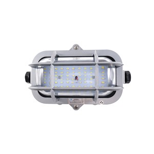 Bozhou Marine Light Aluminum Waterproof Boat LED Pendant Light CCD2-1-2L