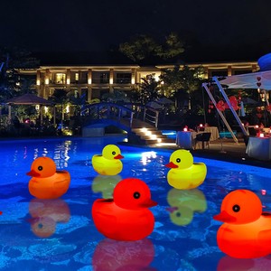 Solar Floating Duck Light Outdoor Waterproof LED Pool Pond Light Remote Control Dimmable Timer Garden Decoration