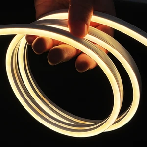 Lfi0612 Dc 24v Factory Custom Neon Strip Lights Flexible Led Strip Light Neon For Indoor Bedroom Ceiling Wardrobe Stairs