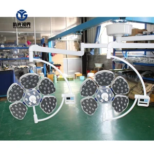 Medical SHD-LED5H/5H Petal 5+5 LED Double Head Shadowless Light Hospital Operating Lamp