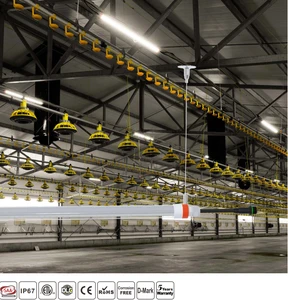 LED Poultry Farm Lighting, T8 Tube, IP67, Flicker-Free, 0-100% Dimming, Horizontal Hanging
