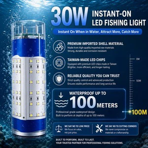 Cordless Cable Free Saltwater Marine Underwater Small 30W 50W 100W 300W 12V Waterproof Green White Automatical LED Fishing Light