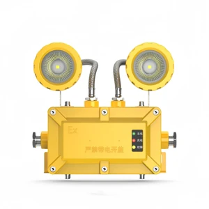 LEDUN 2*3w Ip66 Aluminum Explosion-proof Emergency Lamp Led Emergency Light with 1.5 Hours Emergency Battery