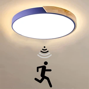 China Manufactory Led Lights Fixtures Ceilings Pendant Sensor Bulbs for Living Room Ceiling Light