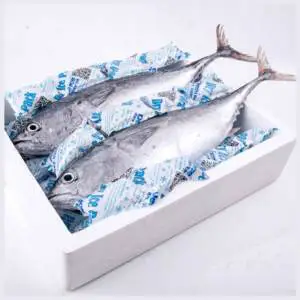 Reusable Injecting Water Ice Pack Gel Bag Insulated Dry Cold Ice Pack Gel Cooler Bag For Food Fresh Ice Packs For Fish