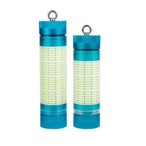 New Arrival 100W 200W 600W Rechargeable Underwater Fishing Lamp Deep Drop Fishing Lights Fish Lure Lamp Green White Blue