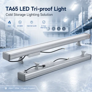 Industrial Cold Room LED Tri-proof Light Flicker-Free Waterproof IP66 4mm Tempered Glass Linear Batten 5-Year Warranty for
