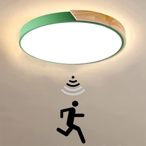Directly Supply Control Led Fixtures Flush Mount Microwave Motion Sensor Light Ceiling Lamp IP44 Living Room Modern